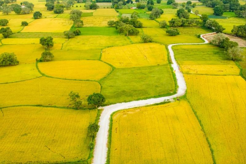 Trại buôn người ảnh 4 Trại buôn người ảnh 4