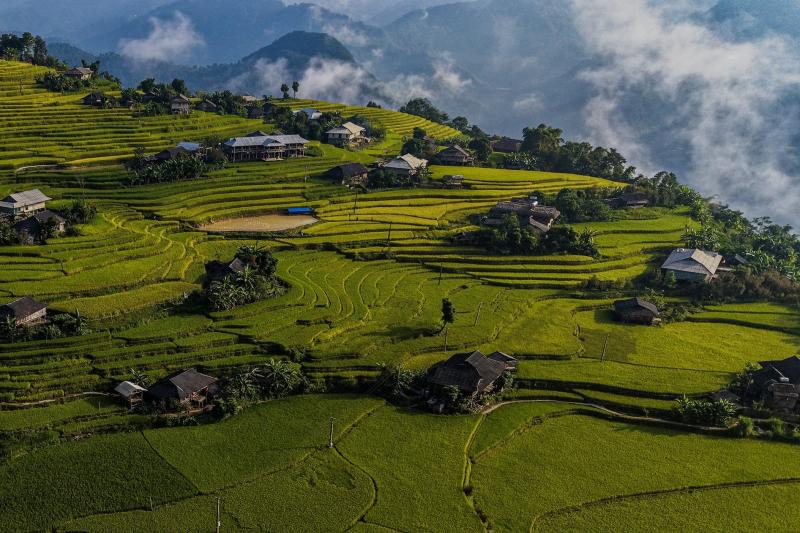 Hoàng Su Phì  ảnh 6