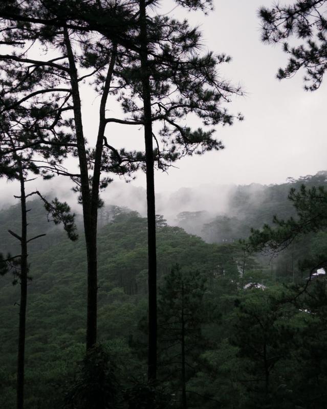 Đà Lạt ảnh 3