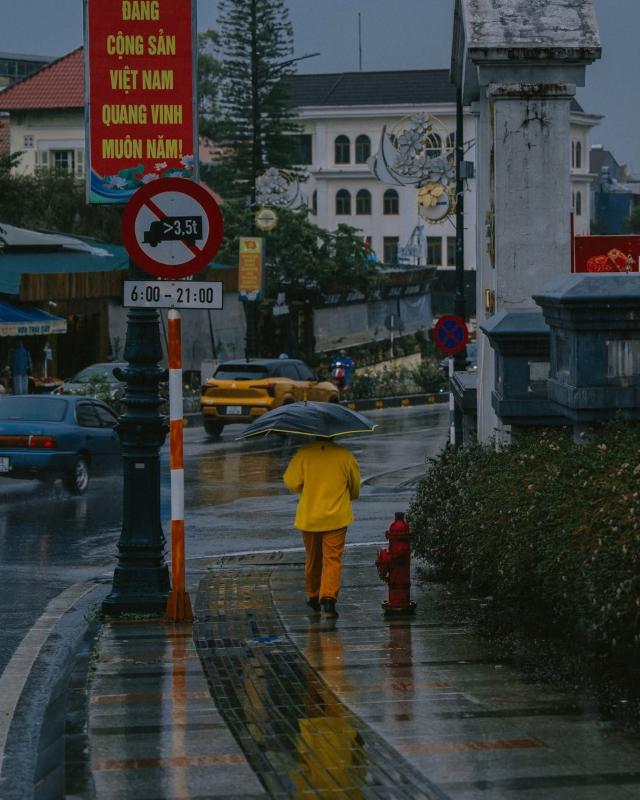 Đà Lạt ảnh 4 Đà Lạt ảnh 4