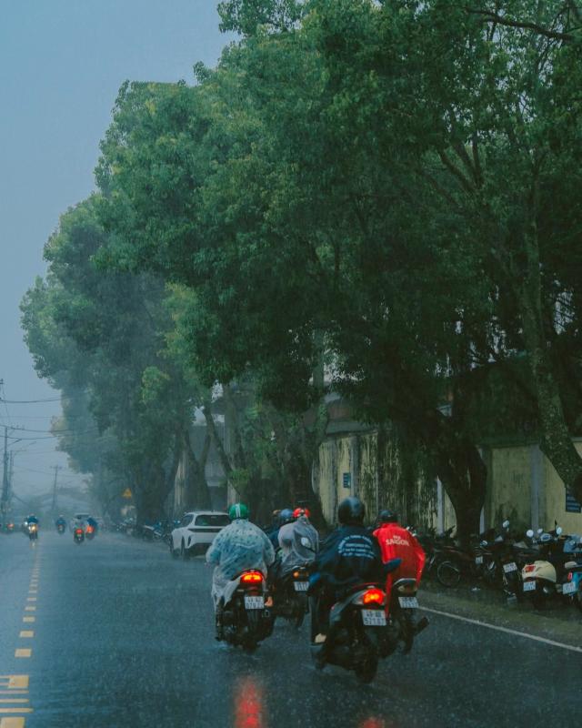 Đà Lạt ảnh 7