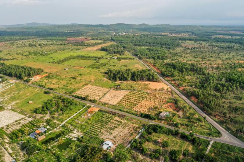 đất bỏ hoang ảnh 2 đất bỏ hoang ảnh 2
