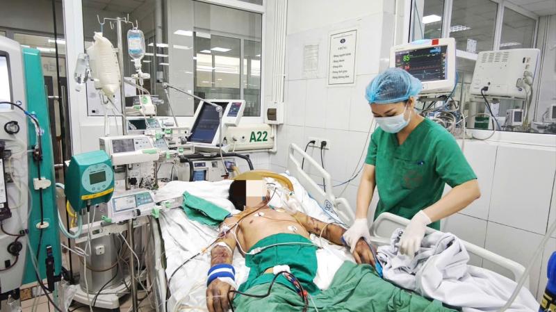 Liên cầu lợn ảnh 1 Liên cầu lợn ảnh 1