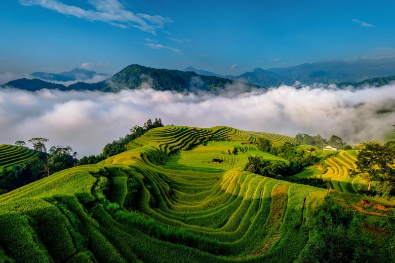 Hoàng Su Phì  ảnh 16