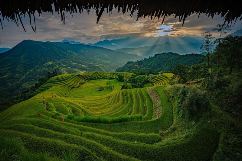 Hoàng Su Phì  ảnh 12
