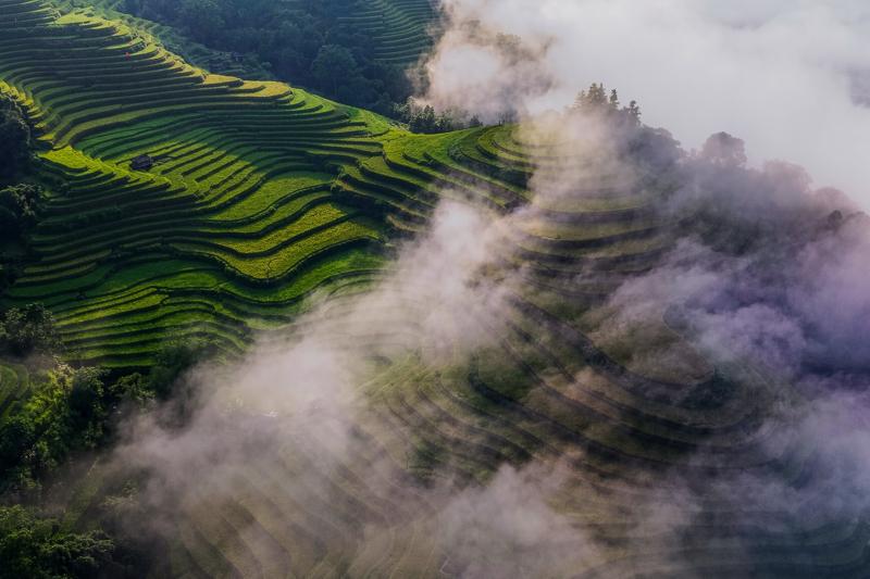 Hoàng Su Phì  ảnh 11