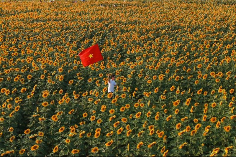 Nghệ An ảnh 16 Nghệ An ảnh 16
