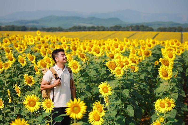 Nghệ An ảnh 5 Nghệ An ảnh 5