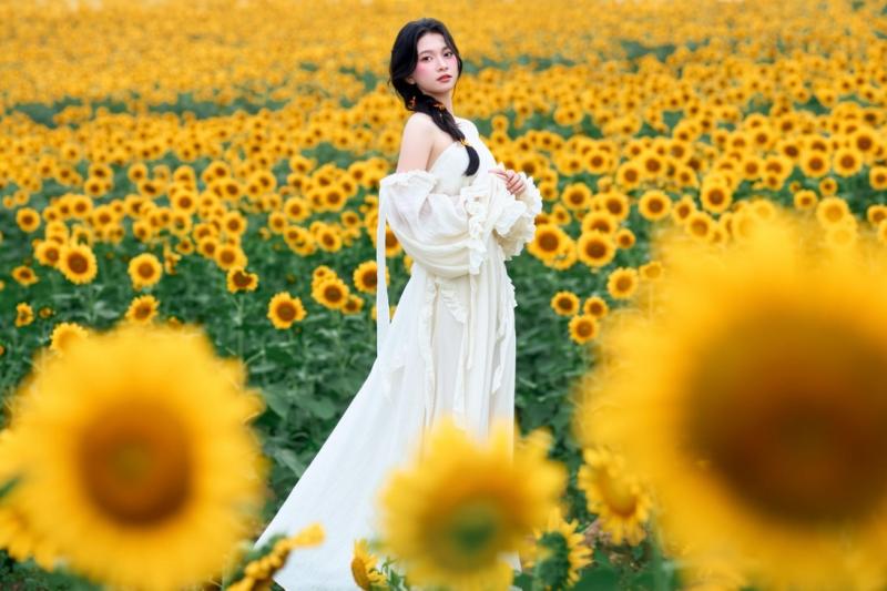 Nghệ An ảnh 6 Nghệ An ảnh 6