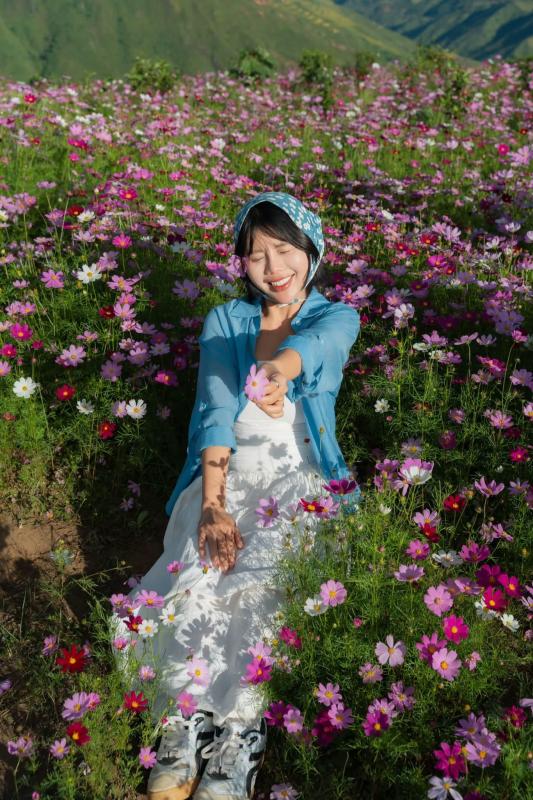 Tà Xùa,  vườn hoa ảnh 10