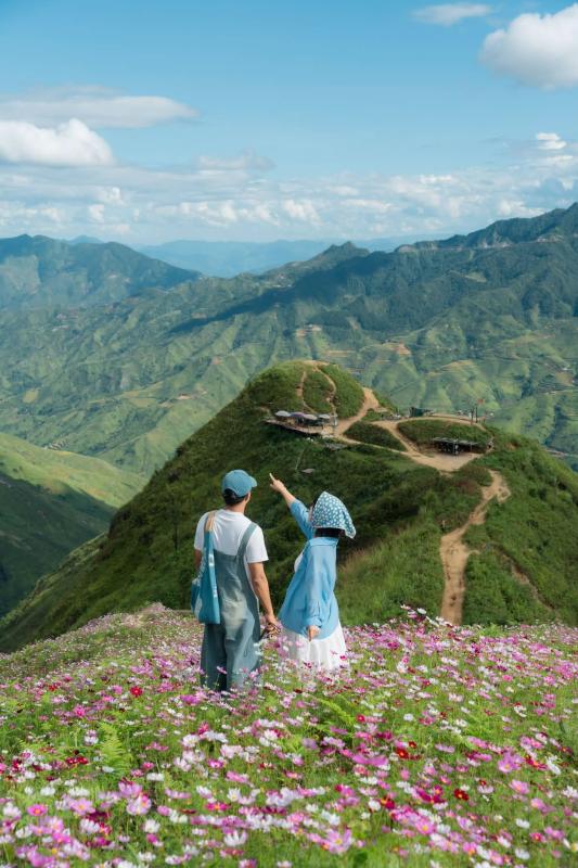 Tà Xùa, vườn hoa ảnh 3 Tà Xùa, vườn hoa ảnh 3