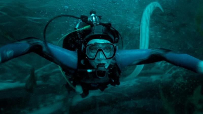 Whalefall ảnh 2 Whalefall ảnh 2